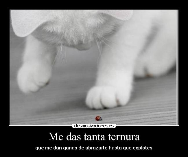 carteles adelina desmotivaciones