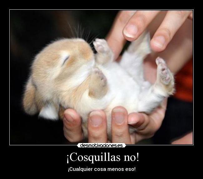 ¡Cosquillas no! - ¡Cualquier cosa menos eso!