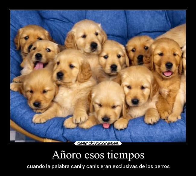 Añoro esos tiempos - cuando la palabra cani y canis eran exclusivas de los perros