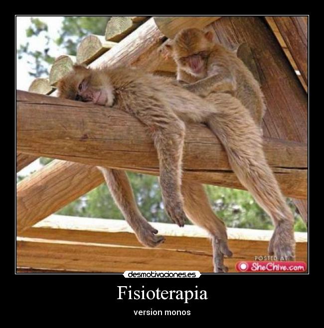 Fisioterapia - version monos