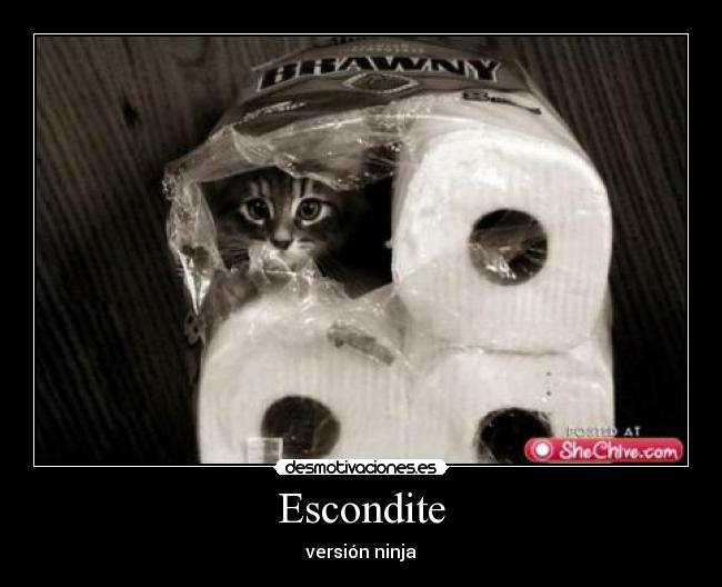 Escondite - versión ninja