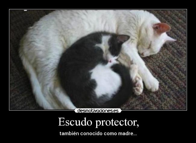 Escudo protector, - 