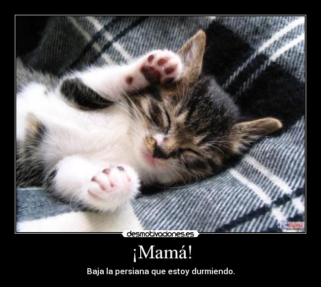 carteles mama desmotivaciones