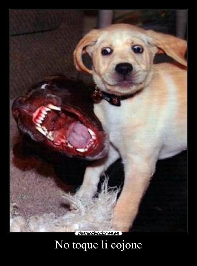 No toque li cojone -