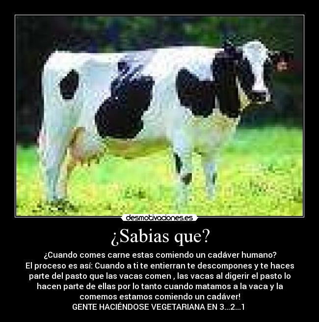 ¿Sabias que? -