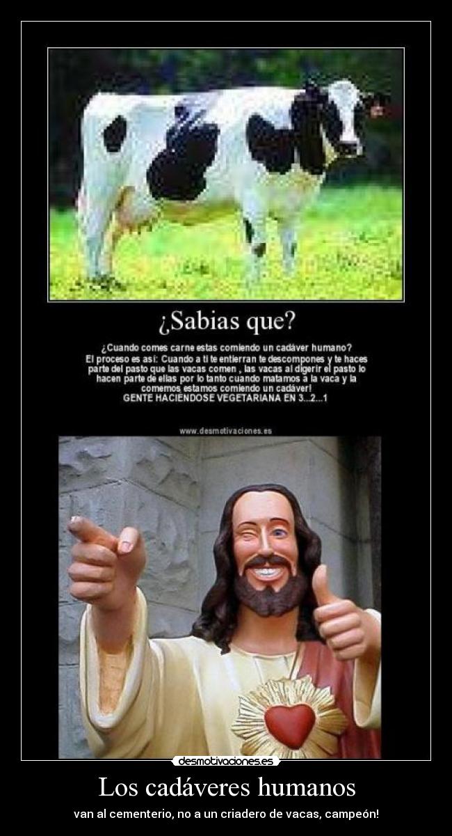 Los cadáveres humanos -