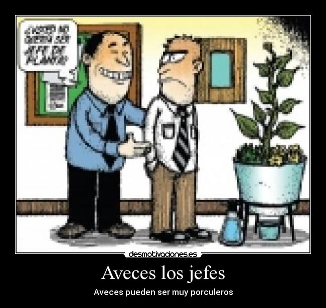 Aveces los jefes -