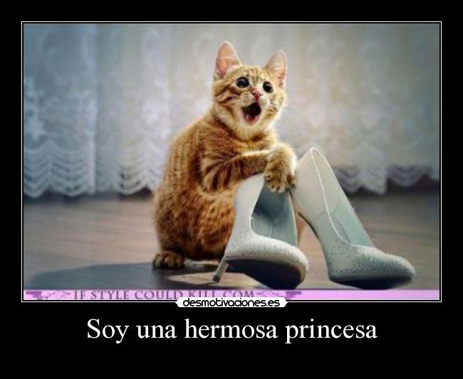 Soy una hermosa princesa -