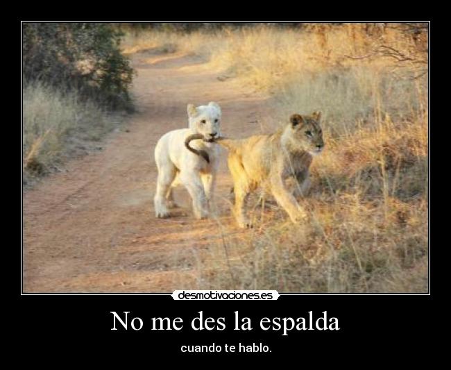 No me des la espalda -