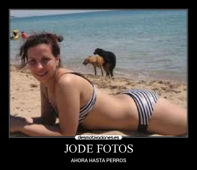 JODE FOTOS - AHORA HASTA PERROS