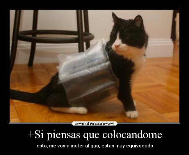 +Si piensas que colocandome -