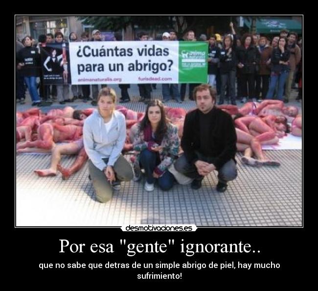 Por esa gente ignorante.. - que no sabe que detras de un simple abrigo de piel, hay mucho sufrimiento!