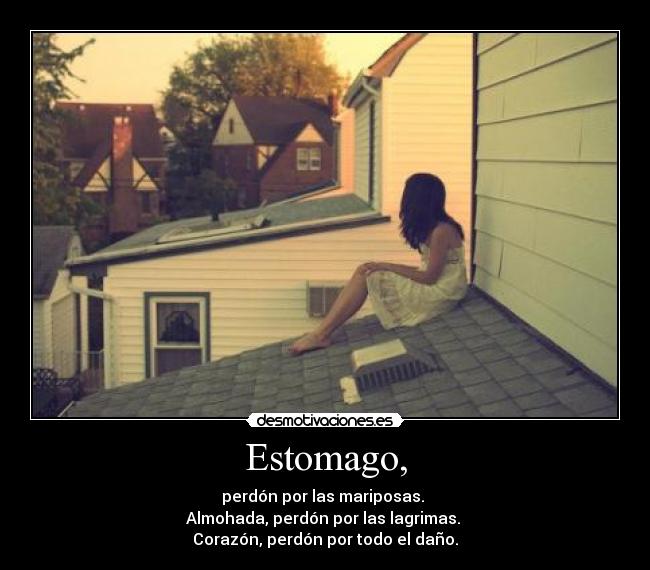 Estomago, - perdón por las mariposas. 
Almohada, perdón por las lagrimas. 
Corazón, perdón por todo el daño.