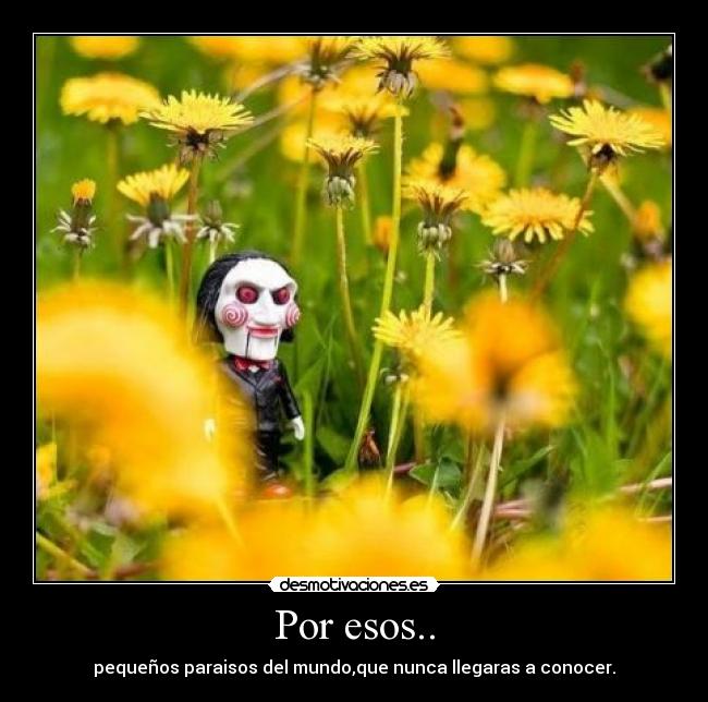 Por esos.. - pequeños paraisos del mundo,que nunca llegaras a conocer.