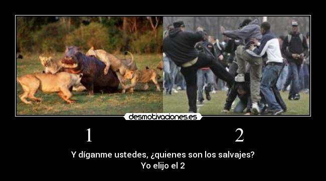 1 2 - Y díganme ustedes, ¿quienes son los salvajes?
Yo elijo el 2
