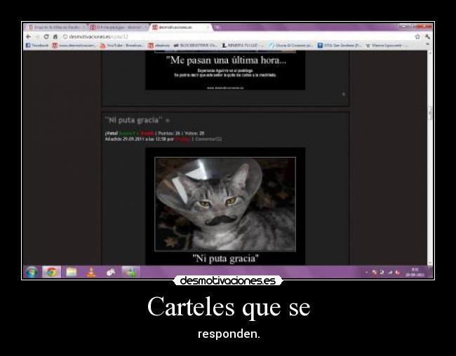 Carteles que se - responden.