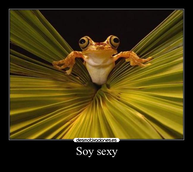 Soy sexy -