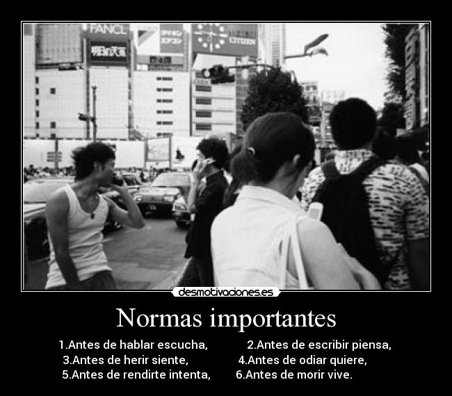 Normas importantes - 