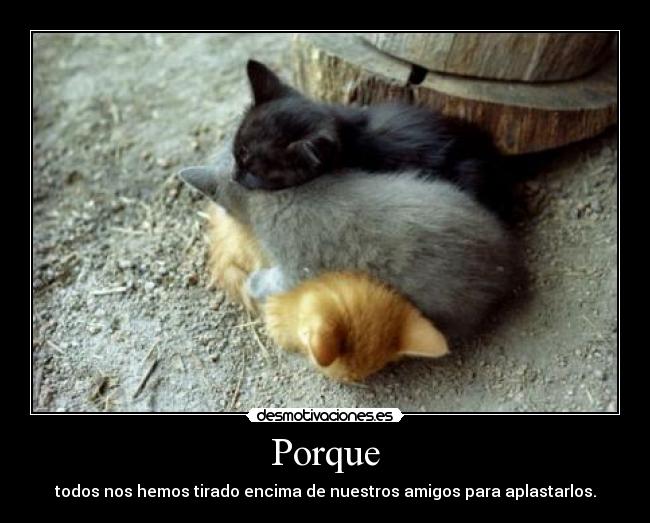 Porque - 