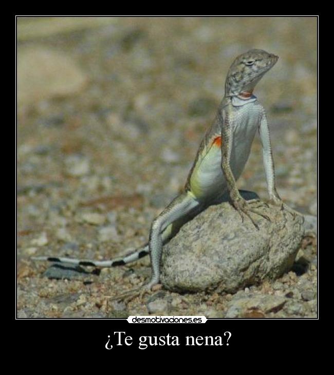 ¿Te gusta nena? -