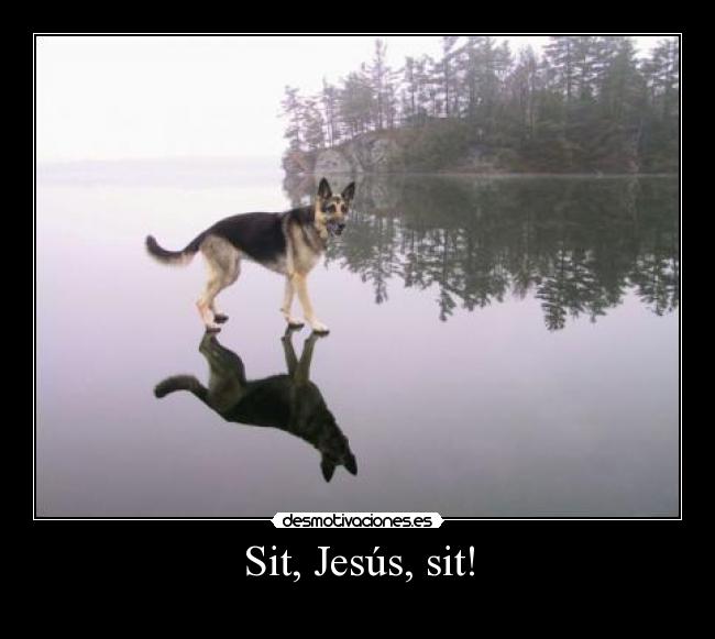 Sit, Jesús, sit! -