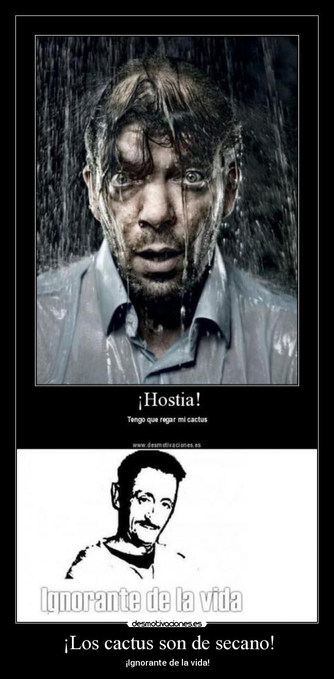 ¡Los cactus son de secano! -