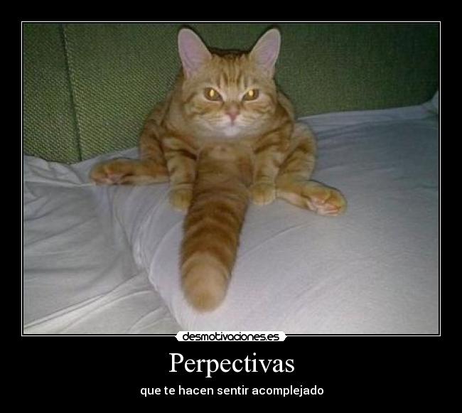 Perpectivas - que te hacen sentir acomplejado