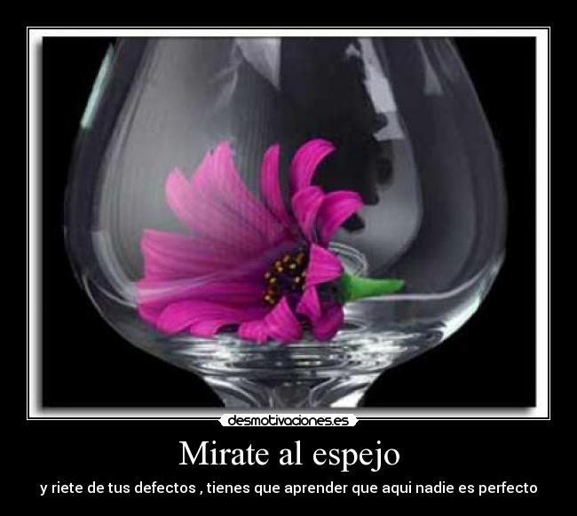 Mirate al espejo - y riete de tus defectos , tienes que aprender que aqui nadie es perfecto