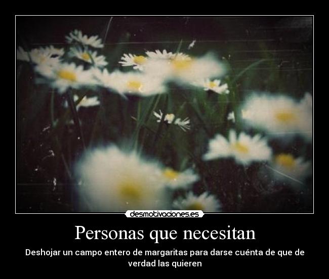 Personas que necesitan - Deshojar un campo entero de margaritas para darse cuénta de que de
verdad las quieren