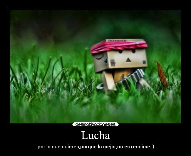 Lucha -