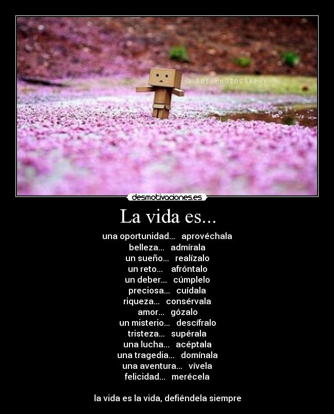 La vida es... -