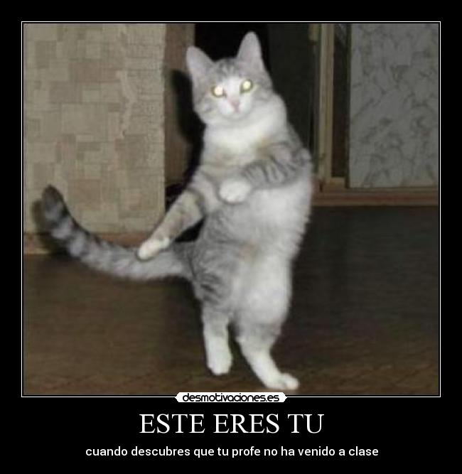 ESTE ERES TU - cuando descubres que tu profe no ha venido a clase