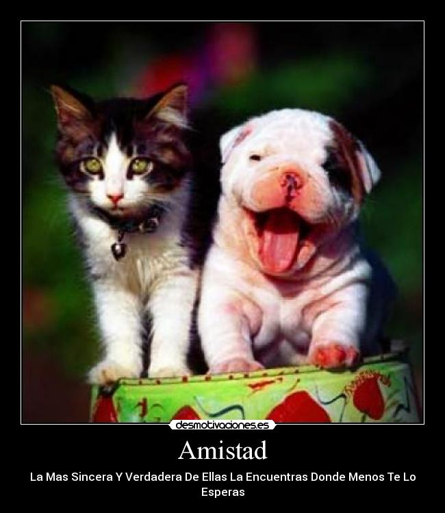 Amistad - La Mas Sincera Y Verdadera De Ellas La Encuentras Donde Menos Te Lo Esperas
