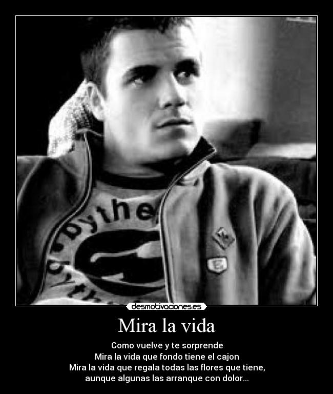 Mira la vida -