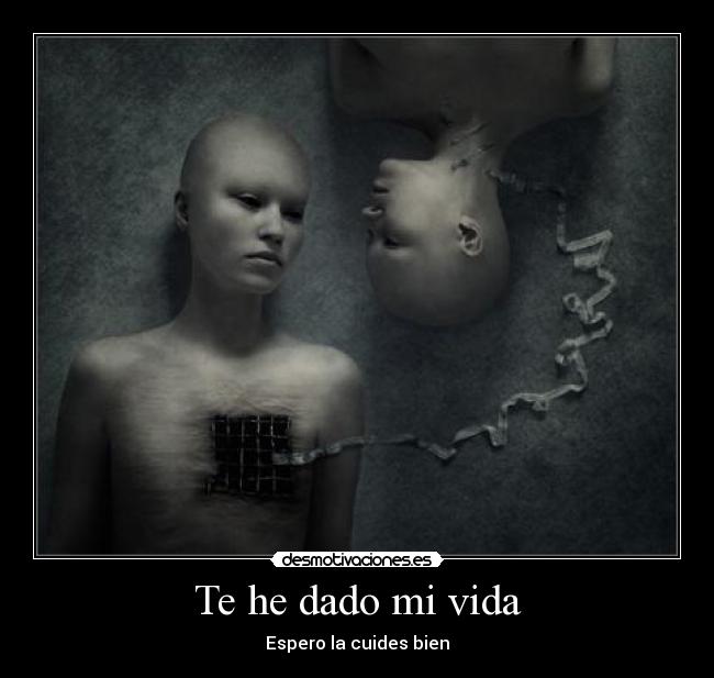 Te he dado mi vida -
