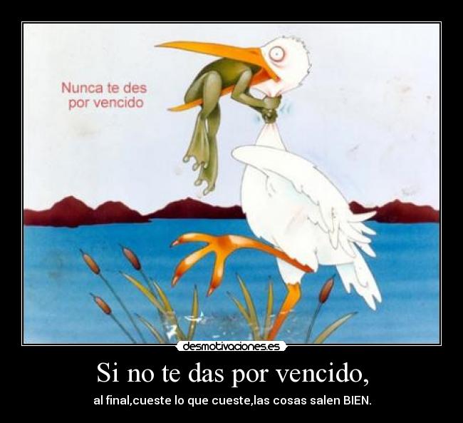 Si no te das por vencido, -