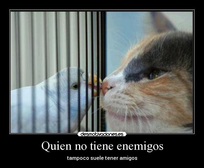 carteles quien tiene enemigos desmotivaciones