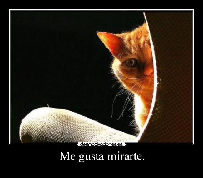 Me gusta mirarte. -