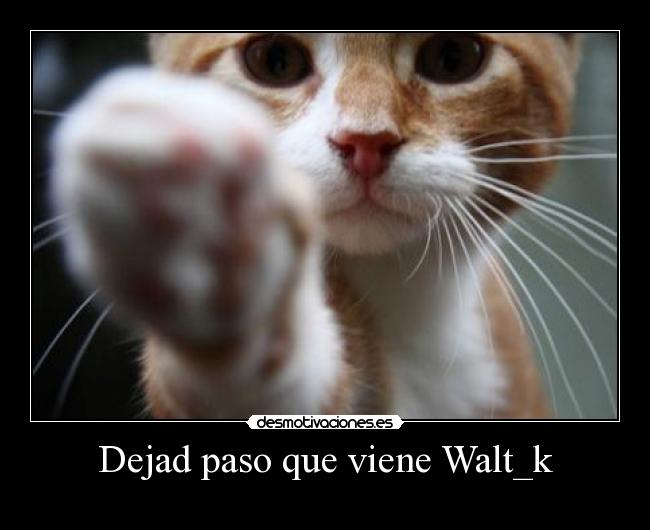 Dejad paso que viene Walt_k -
