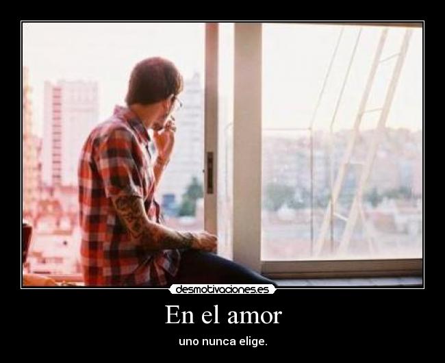 En el amor - 