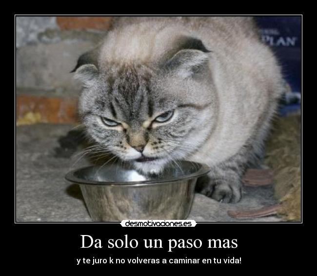 Da solo un paso mas - 