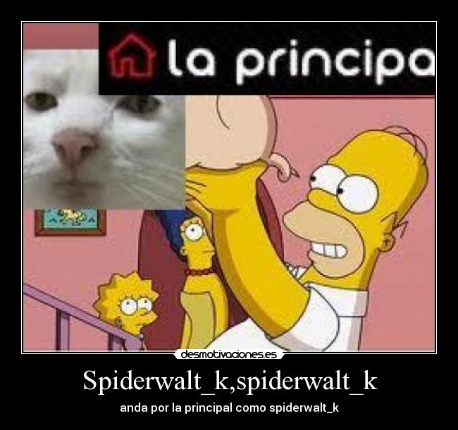 Spiderwalt_k,spiderwalt_k -