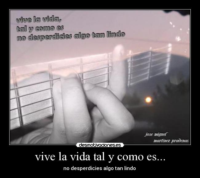 vive la vida tal y como es... - no desperdicies algo tan lindo