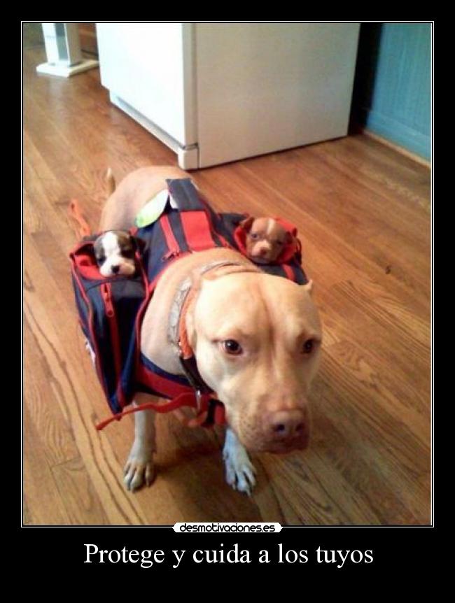 carteles eften clanvirus desmotivaciones