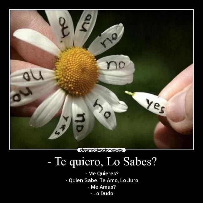 - Te quiero, Lo Sabes? - - Me Quieres?
- Quien Sabe. Te Amo, Lo Juro
- Me Amas?
- Lo Dudo
