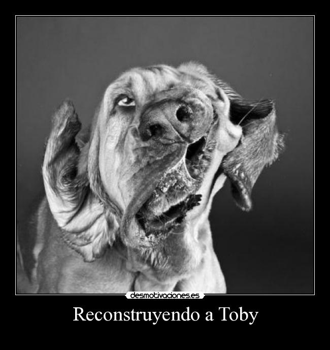 carteles ferminelfiero clanvirus desmotivaciones