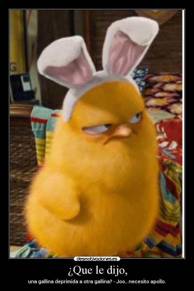 ¿Que le dijo, - una gallina deprimida a otra gallina? - Joo.. necesito apollo.