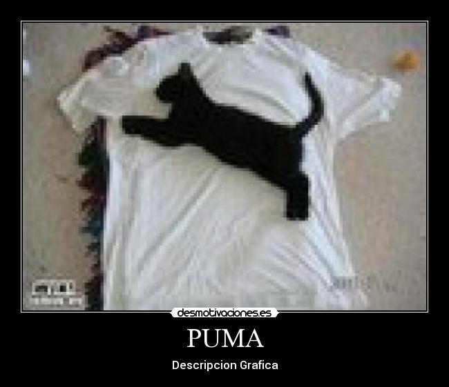 PUMA - Descripcion Grafica