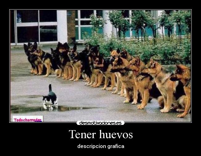 Tener huevos - descripcion grafica