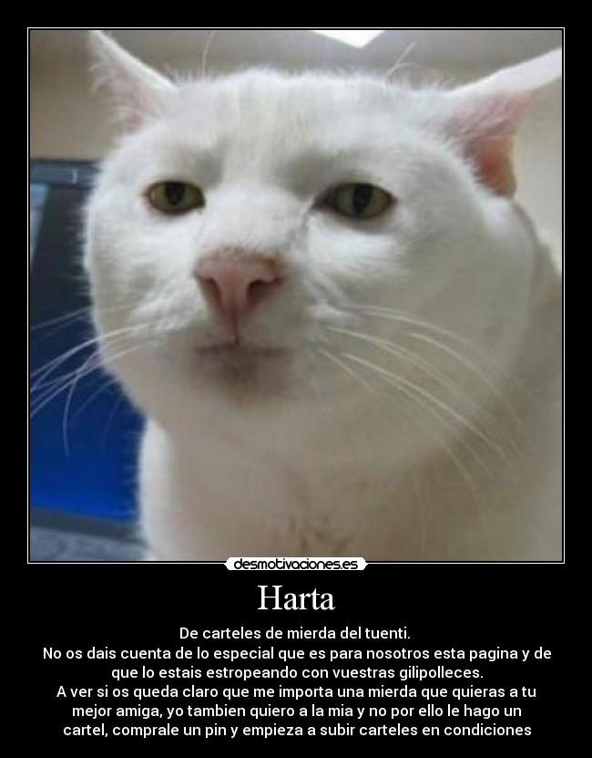 Harta - 